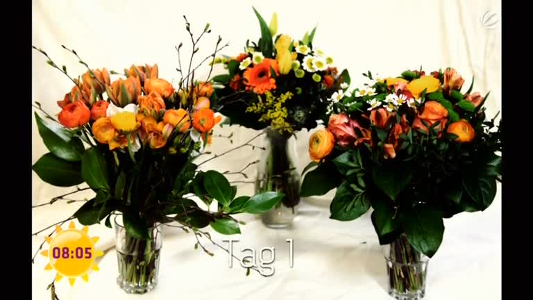 Test: Online Blumenversand
